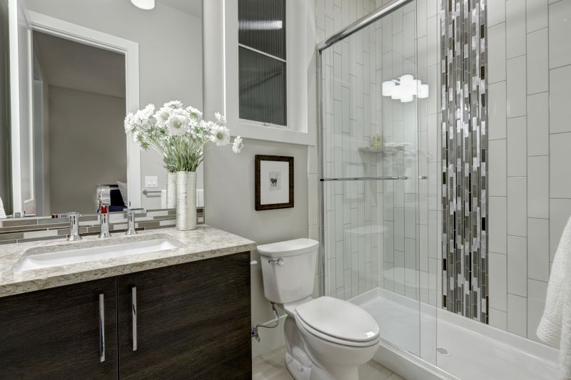 Contemporary Shower Areas